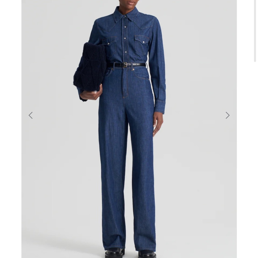 Scanlan Theodore Blue Button Down Denim Shirt - NWT - US 2